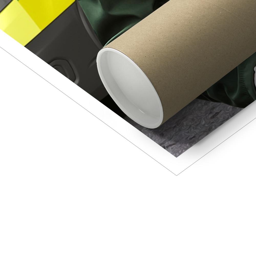 Pet Portraits | The Paramedic: Custom Pet Poster | Paw & Glory