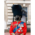 The Queens Guard: Custom Digital Download Pet Portrait