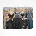 The Reality Sisters: Custom Pet Blanket
