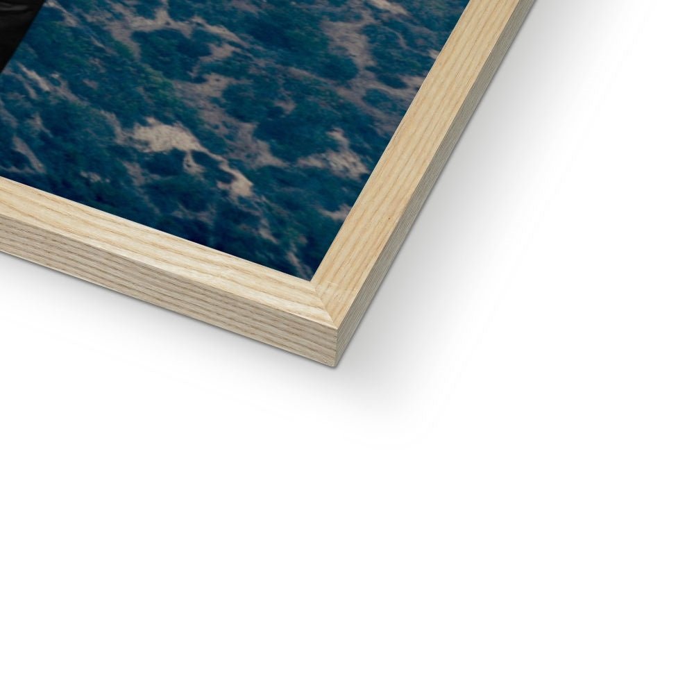 Pet Portraits | The Reality Sisters: Custom Pet Portrait | Paw & Glory