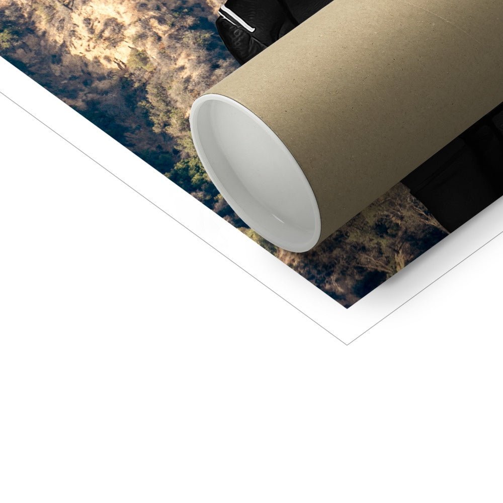 Pet Portraits | The Reality Sisters: Custom Pet Poster | Paw & Glory