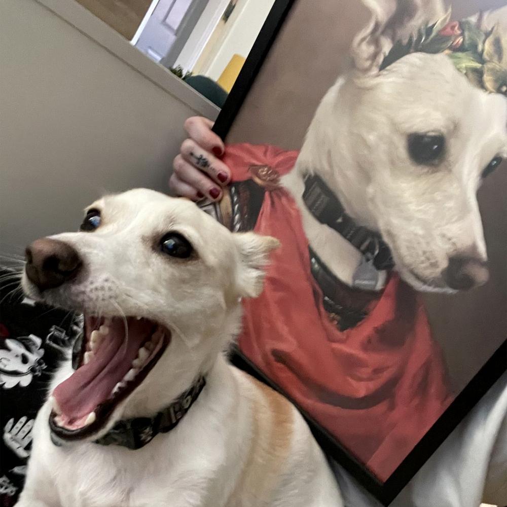 Pet Portraits | The Roman Emperor: Custom Pet Portrait | Paw & Glory