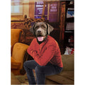 The Ross (Friends Inspired): Custom Digital Download Pet Portrait