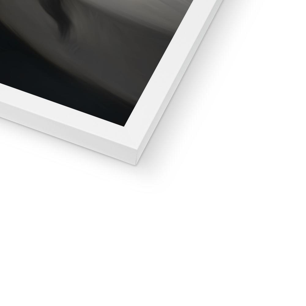 Pet Portraits | The Royal Knight: Custom Pet Portrait | Paw & Glory