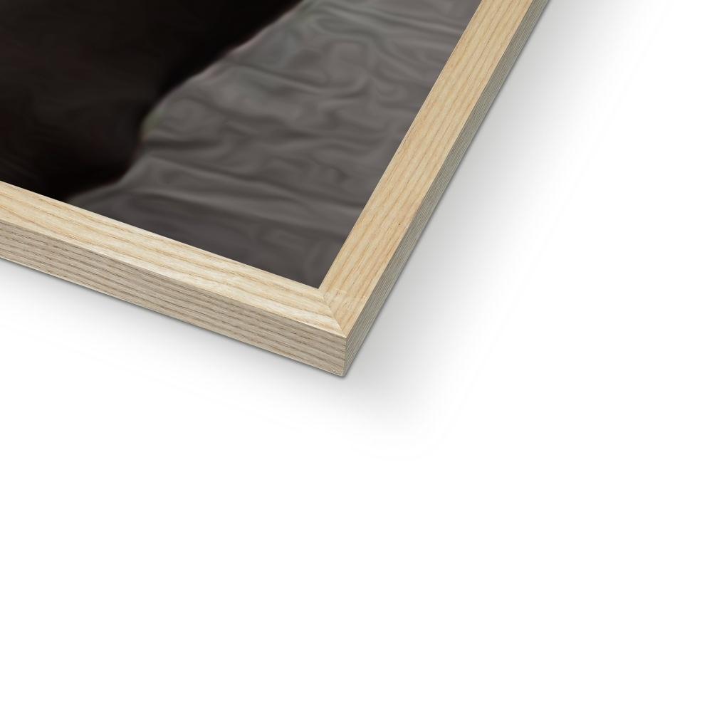 Pet Portraits | The Rugby Player: Custom Pet Portrait | Paw & Glory