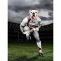 The Rugby Winger: Custom Digital Download Pet Portrait