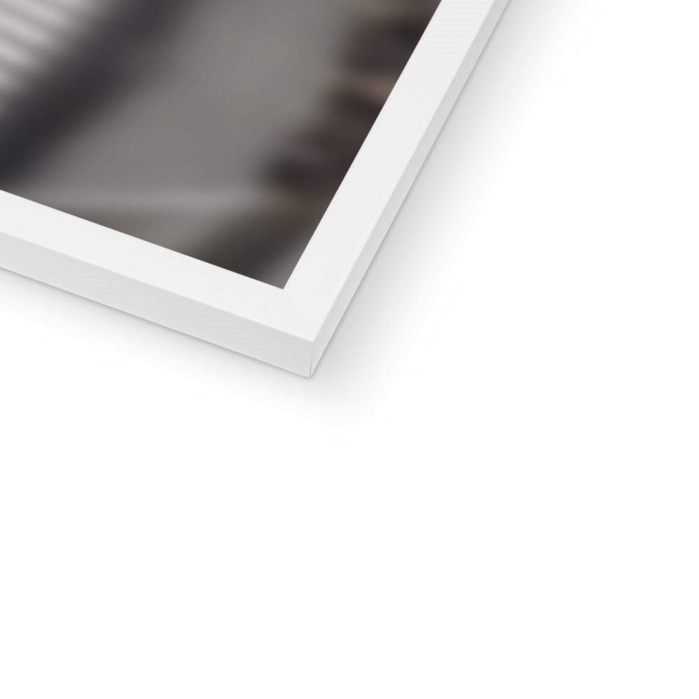 Pet Portraits | The Skywalker Siblings (Star Wars Inspired): Custom Pet Portrait | Paw & Glory