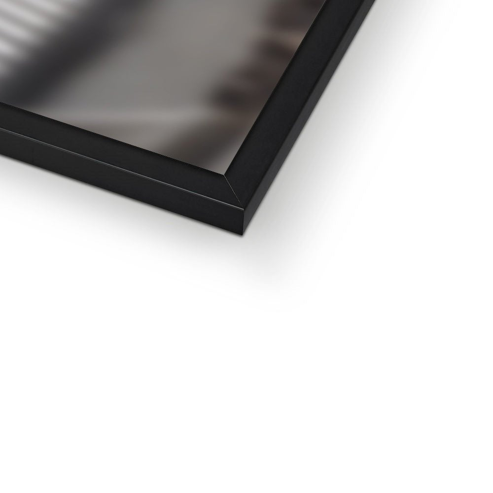 Pet Portraits | The Skywalker Siblings (Star Wars Inspired): Custom Pet Portrait | Paw & Glory