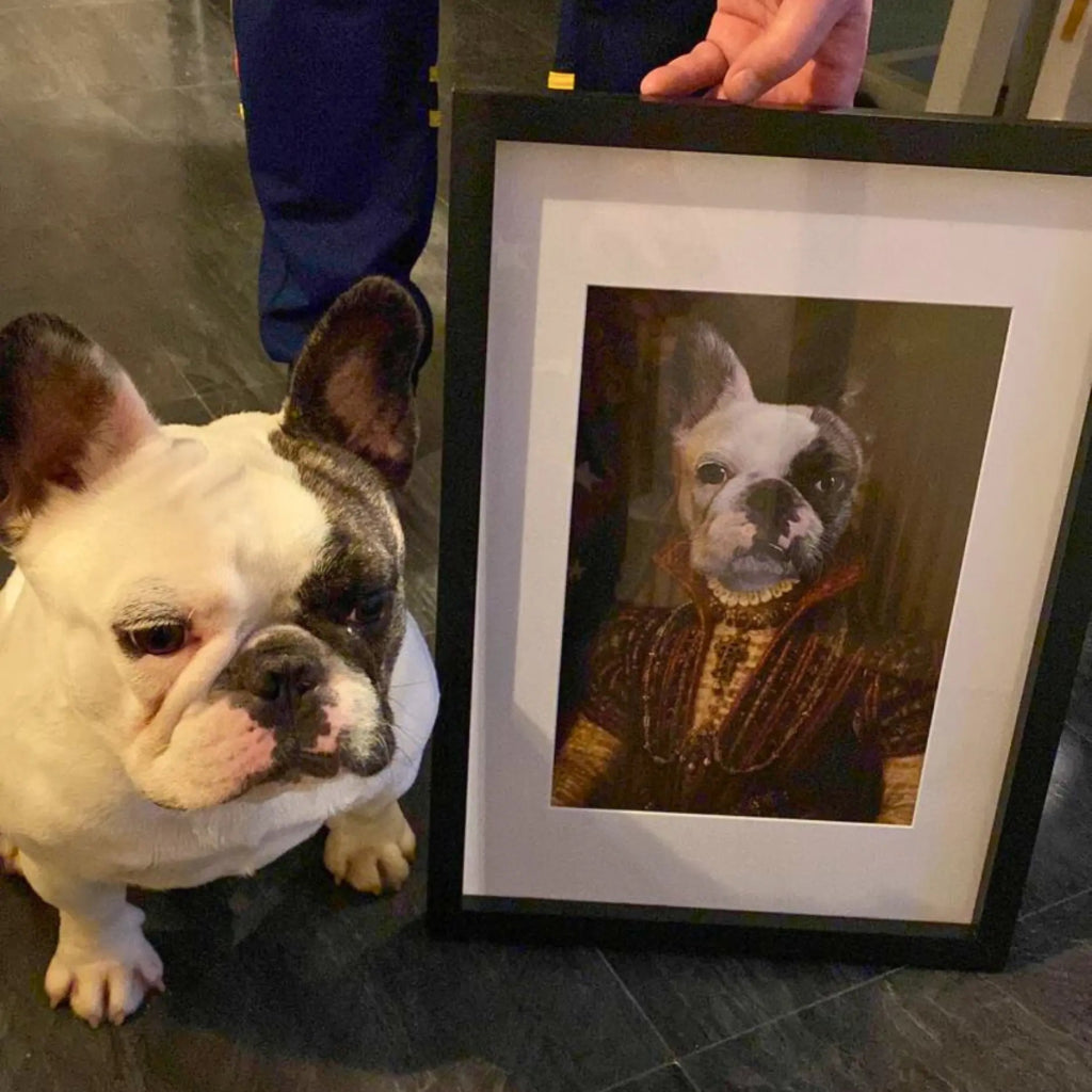 Pet Portraits | The Spanish Princess: Custom Pet Portrait | Paw & Glory