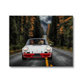 The Supercar: Custom Pet Canvas