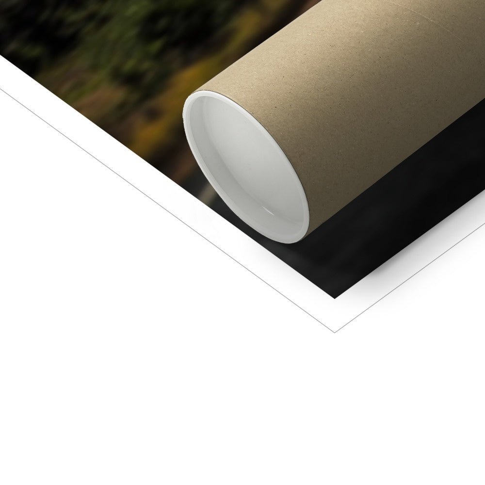 Pet Portraits | The Supercar: Custom Pet Poster | Paw & Glory