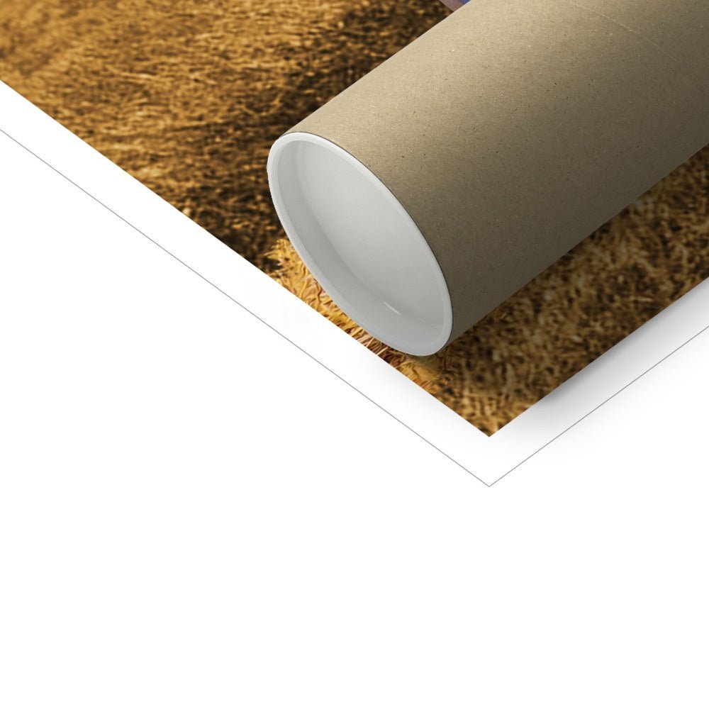 Pet Portraits | The Tractor: Custom Pet Poster | Paw & Glory