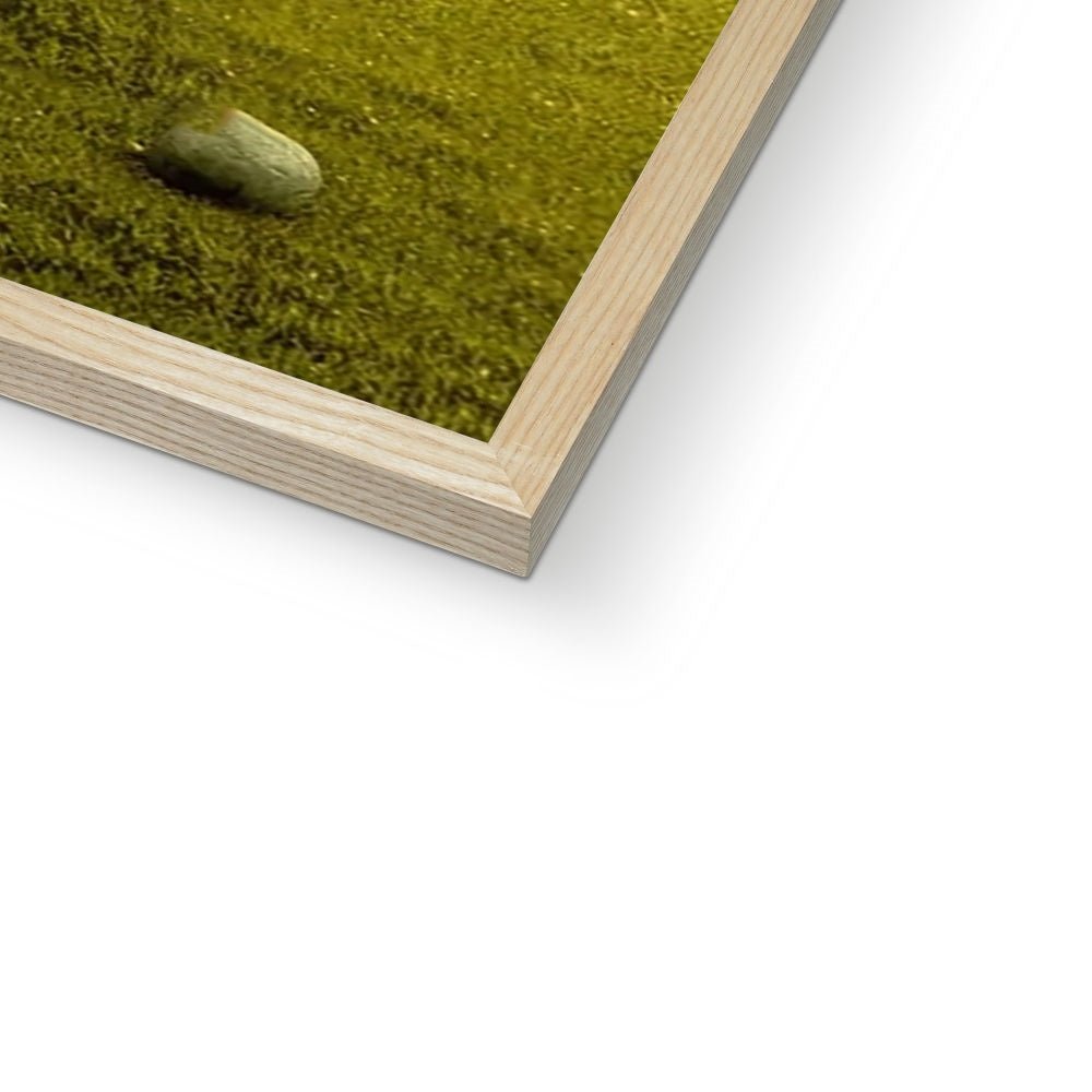 Pet Portraits | The Trio (Bridgerton Inspired): Custom Pet Portrait | Paw & Glory