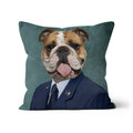 The US Male Navy Officer: Custom Pet Pillow