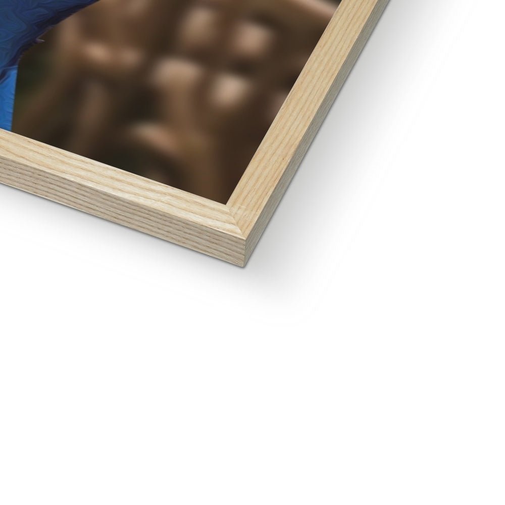 Pet Portraits | The Wedding Singer: Custom Pet Portrait | Paw & Glory