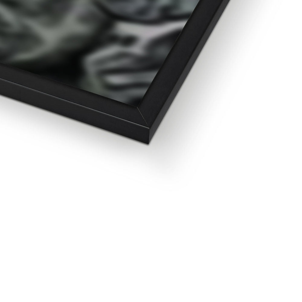 Pet Portraits | The Yeezy (Kanye West Inspired): Custom Pet Portrait | Paw & Glory