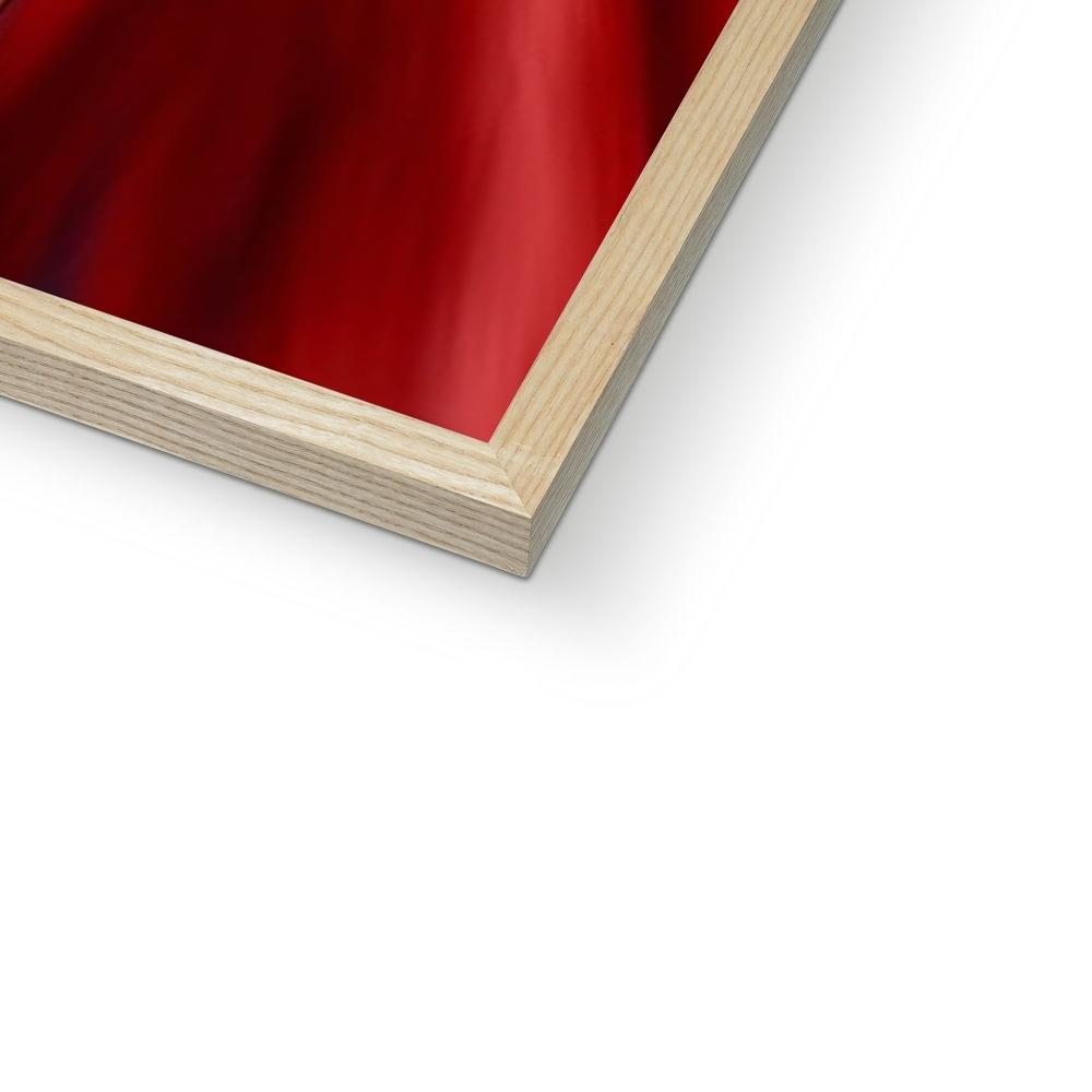 Pet Portraits | The Young King: Custom Pet Portrait | Paw & Glory