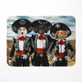 Three Amigos: Custom Pet Blanket