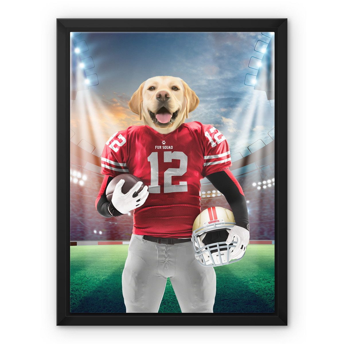 49ers custom dog jersey