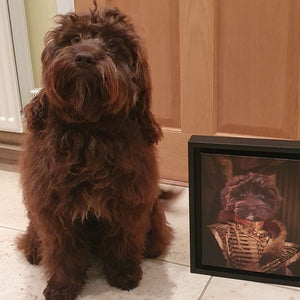 The Colonel: Custom Pet Canvas - Paw & Glory - #pet portraits# - #dog portraits# - #pet portraits uk#paw & glory, custom pet portrait canvas,personalised pet canvas uk, pet picture on canvas, dog portraits canvas, dog prints on canvas, custom canvas dog prints